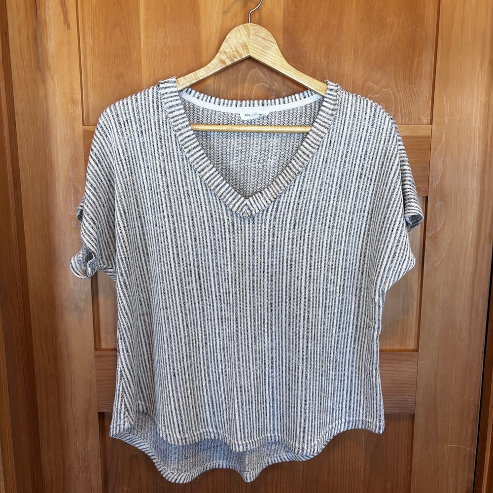 🌺🌺🌺3/25 Blu Pepper Black and White Striped V-Neck Top